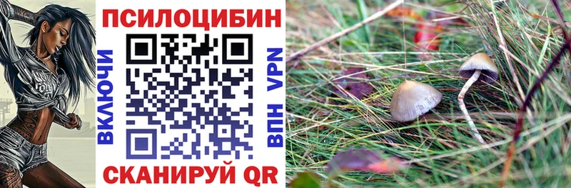 Псилоцибиновые грибы GOLDEN TEACHER  Теберда 